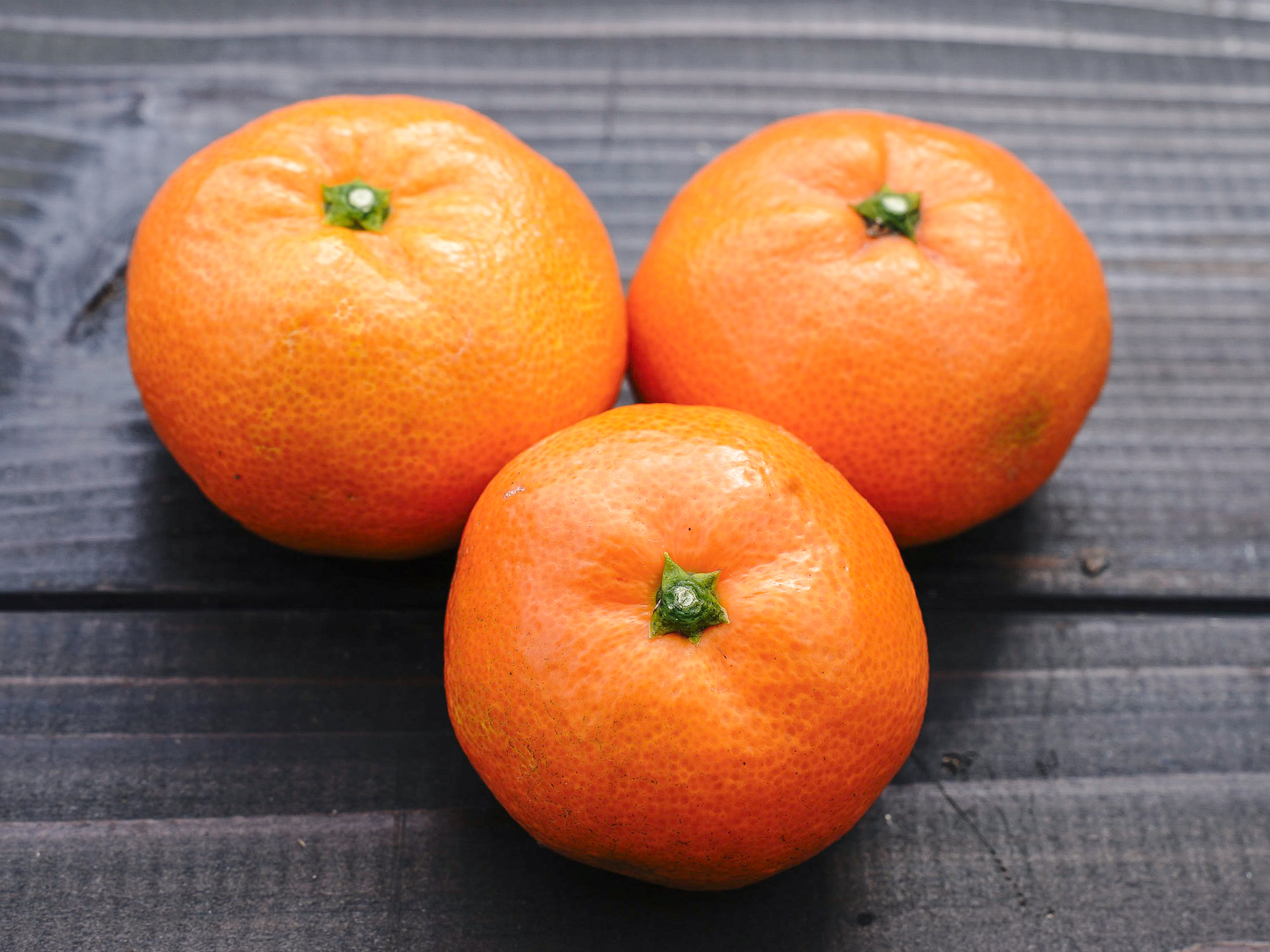 13kg程度　お得用　温州蜜柑　宮川早生 コルレオファーム / ＜11月発送予約商品＞【早生みかん】宮川早生